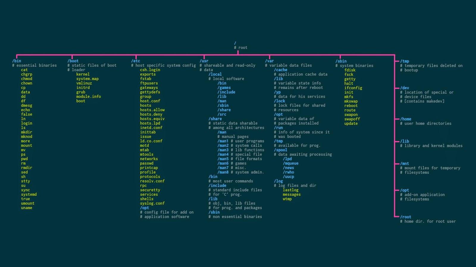 Interactive Linux Tree Tìm hiểu về hệ thống các thư mục trong Linux CHÍNH XÁC nhất