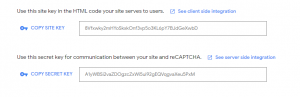     reCAPTCHA keys - against spam comments wordpress