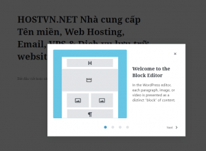 Welcome Guide - wordpress version 5.4