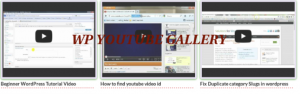 WP Youtube Gallery - create YouTube video library for WordPress