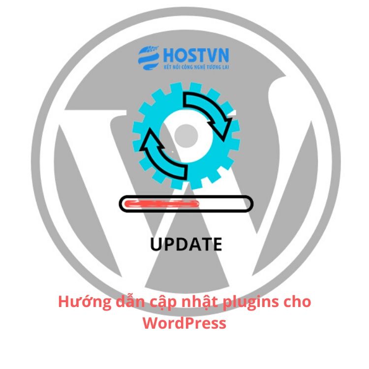 update wordpress